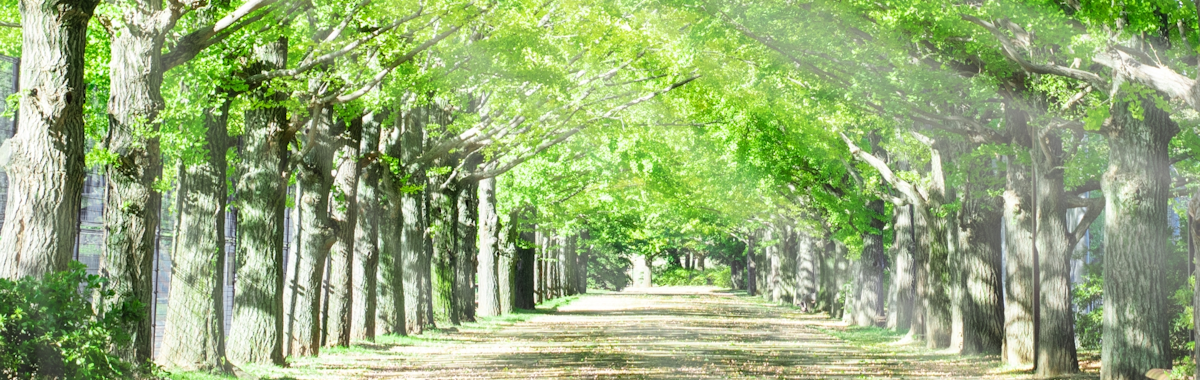 不動産工房ゆくはしの写真(福岡県行橋市)